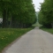 Beigi-Ardenne-06.jpg