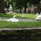 Beigi-Brugge-21.jpg