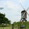 Beigi-Brugge-111.jpg