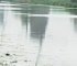 Beigi-Kinderdijk-10.jpg