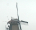 Beigi-Kinderdijk-12.jpg
