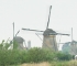 Beigi-Kinderdijk-24.jpg