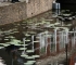Beigi-Den Haag-22.jpg