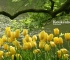 Beigi-Keukenhof-1.jpg