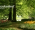 Beigi-Keukenhof-3.jpg
