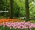Beigi-Keukenhof-9.jpg