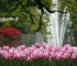 Beigi-Keukenhof-14.jpg