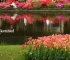Beigi-Keukenhof-19.jpg