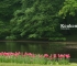 Beigi-Keukenhof-20.jpg