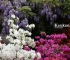 Beigi-Keukenhof-26.jpg