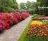 Beigi-Keukenhof-29.jpg
