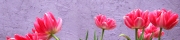 Beigi-Keukenhof-63.jpg