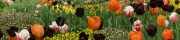 Beigi-Keukenhof-65.jpg