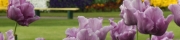 Beigi-Keukenhof-67.jpg
