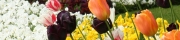 Beigi-Keukenhof-68.jpg