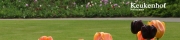 Beigi-Keukenhof-69.jpg
