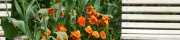 Beigi-Keukenhof-76.jpg