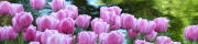 Beigi-Keukenhof-78.jpg