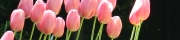 Beigi-Keukenhof-79.jpg
