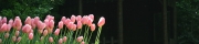 Beigi-Keukenhof-80.jpg