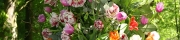 Beigi-Keukenhof-86.jpg