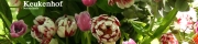 Beigi-Keukenhof-87.jpg