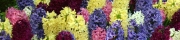 Beigi-Keukenhof-88.jpg