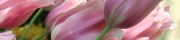 Beigi-Keukenhof-90.jpg