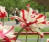 Beigi-Keukenhof-111.jpg