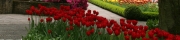 Beigi-Keukenhof-31.jpg