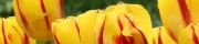 Beigi-Keukenhof-34.jpg