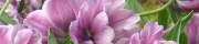 Beigi-Keukenhof-39.jpg