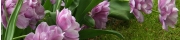 Beigi-Keukenhof-40.jpg
