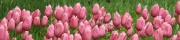 Beigi-Keukenhof-45.jpg