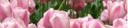 Beigi-Keukenhof-48.jpg