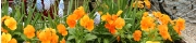 Beigi-Keukenhof-61.jpg