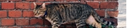 ita-venezia-36.jpg