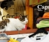 ita-capri-16.jpg