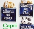 ita-capri-18.jpg