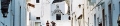 ita-albero-01.jpg