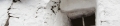 ita-albero-21.jpg