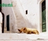 ita-ostuni-12.jpg