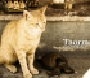 ita-taormina-9.jpg