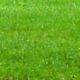 oslo-018.jpg