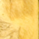 ber-023.jpg