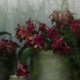 dro-022.jpg