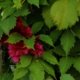 dro-025.jpg