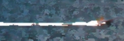 cruise-006.jpg