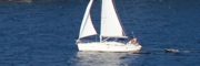 cruise-009.jpg
