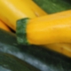 stock-023.jpg